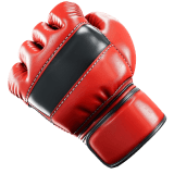 MMA Fights icon